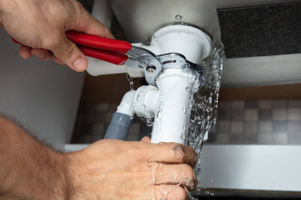 Best Professional water damage repair  in Kaanapali, HI