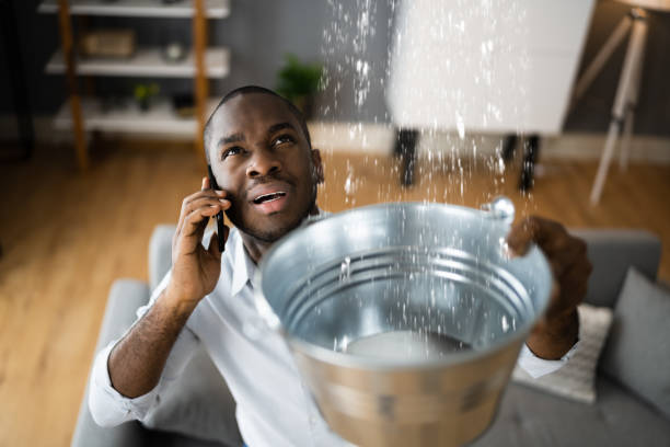 Local water damage restoration in Kaanapali, HI