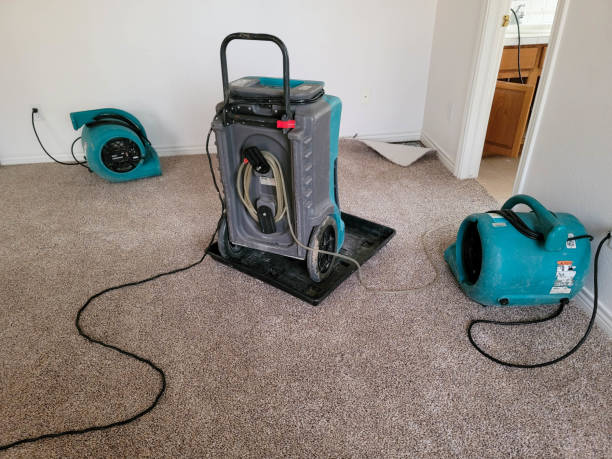 Best Flood damage cleanup  in Kaanapali, HI