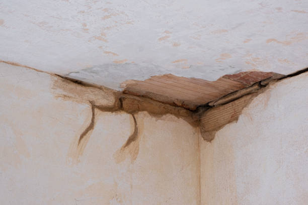 Best 24-hour water damage restoration  in Kaanapali, HI
