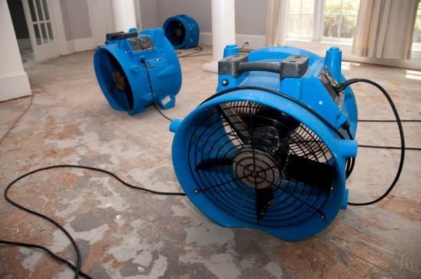 Carpet water damage restoration in Kaanapali, HI