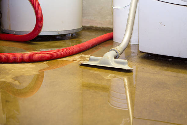 Best Sewage cleanup and water damage restoration  in Kaanapali, HI