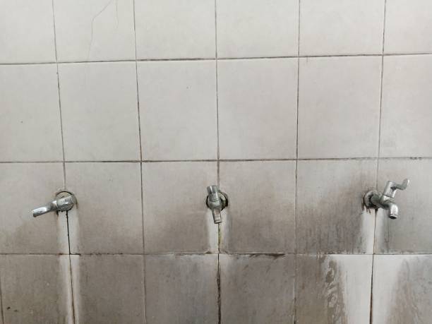 Best Local water damage restoration  in Kaanapali, HI