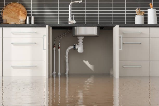 Best Water damage cleanup near me  in Kaanapali, HI